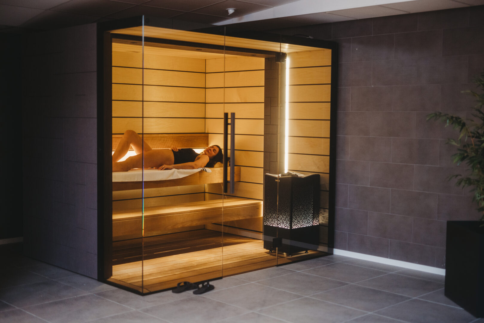 tylo_blank_showroom_blank_vt24-260